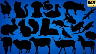 Guess the Domestic Animal by Its Shadow! 🐾 80 Shadow Animal Quiz for Kids & Families