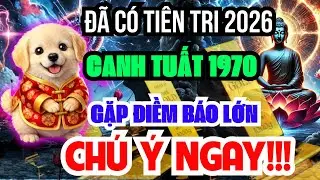 Sự Thật Động Trời Chỉ Tôi Dám Nói: Canh Tuất 1970 Năm 2026 Gặp Điềm Báo Lớn, Không Xem Sẽ Hối Hận