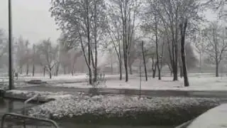 Аномально холодная весна 2017.Abnormally cold spring 2017.