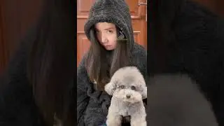 Cute Dogs #AdorableDogs #PetDogs #BeautifulDogs #PetDog #Funny