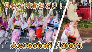 【仙台で踊ってきました！】「仙台青葉まつり・阿波おどり振興協会」#japan #dance #festival #祭り