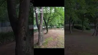 슬픈짐승 4 : 모니카 마론