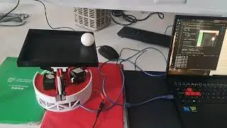BALL BALANCING ROBOT BY CGSC, YNMO, MAPM