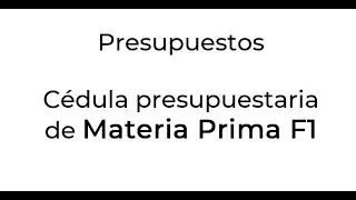 Presupuestos Materia prima, forma uno.