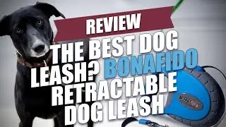 The Best Dog Leash? BonaFido Retractable Dog Leash Review