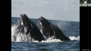 August Talk with Maria Brown: Why Are National Marine Sanctuaries Important to Our Nation?