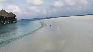 Мальдивы Baa Atoll Coco Palm