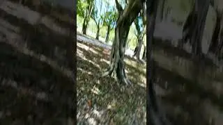 high speed drone crash in slow motion #djidrone #crashing