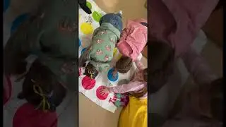 Ukraine and Bluecheck