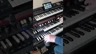 Summertime on Viscount Legend Soul 273 & Korg Pa5X by Vedant Meyran from Holland 