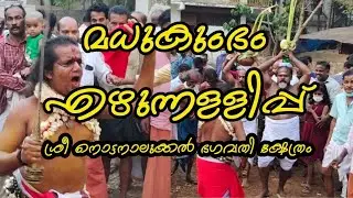 മധുകുംഭം എഴുന്നള്ളിപ്പ് l
ശ്രീ നൊട്ടനാലുക്കൽ ഭഗവതി ക്ഷേത്രം I  Nottanalukkal Temple I Kuttippuram