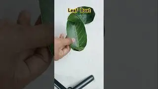 Leaf Boat || Make a Boat using Mango Leaf || # shorts #leafcraft #boat