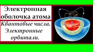 Электронная оболочка атома. Квантовые числа. Электронные орбитали.