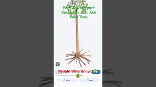If You guys Know You Will Be In The Carboniferous Period 💀
