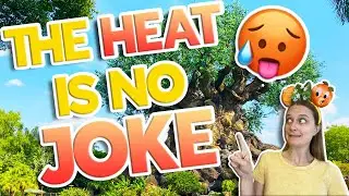 What to Expect When Visiting ANIMAL KINGDOM During the SUMMER!