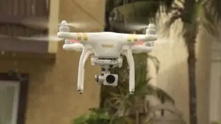 Watch this Neighbor Swat a Drone out of the Sky and Shatter It to Pieces