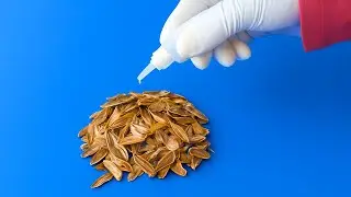 Genius DIY Hack: Fix a Broken Plastic Bowl with Sunflower Seeds & Super Glue | No More Water Leaks!