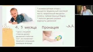 Онтогенез 4 месяца оп8