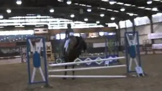 British Eventing Jump Training Final BE90 My Harlequin Lady