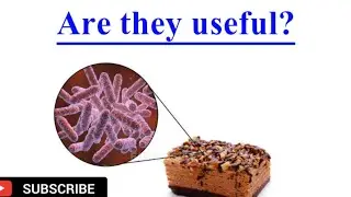 Why microorganisms are important | Biology | Grade11