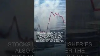 Budget 2025  Winners and Losers Across Key Sectors #stockmarket #nifty #pennystocks