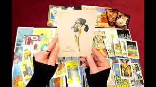 STEINBOCK FEBRUAR 2026 ★ Gibt es noch Hoffnung? ★ TAROT ORAKEL