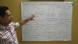 2.4 Pseudoplastic Flow
