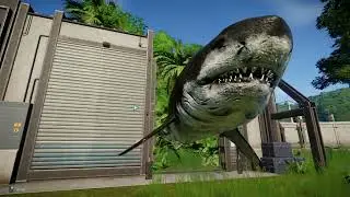 TODOS LAS SKIN DEL MEGALODON | JURASSIC WORLD  EVOLUTION
