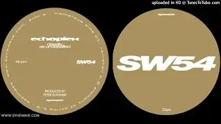 Echoplex - Rainshell