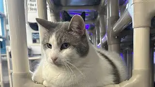 🙀🙀