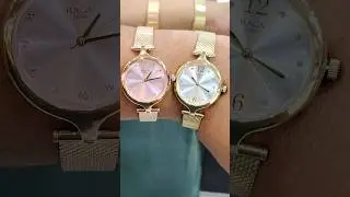 Titan Raga Premium Edition for Women | 95268ym01 / 95268wm01 with Mesh Chain #fullpackage