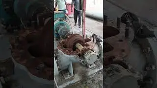 centrifugal pump maintenance