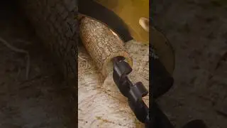 Making bushcraft pencil case out of wood  #bushcraft #survival #outdoors #camping