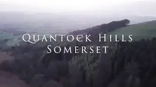 Quantock Hills - Somerset