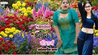 SR6161 जंगल की तर्ज #mewatilovesong #mewatifolksong #sayarrahees #mewatimusic #mewatisedsong 