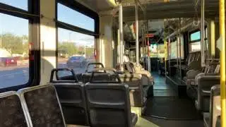 City of Phoenix Valley Metro 2007 New Flyer D60LF #8054