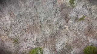 Property at 0 Rock Springs Rd, Ethridge TN 38456