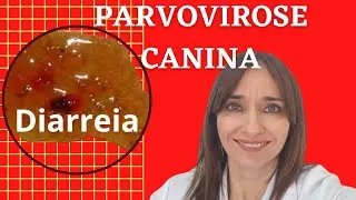 PARVOVIROSE CANINA!! Veterinária explica tudo!
