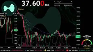 HYPE | Live Stream 24/7 | OFFICIAL HYPERLIQUID | HYPE USDT | Trading Signals Chart