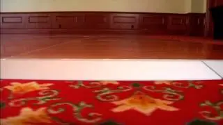 Magnattach&reg; Portable Dance Floor by Mity-Lite