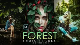 Forest Green Lightroom Presets Free | Lightroom Photo Editing | Dark Green Presets | LR Editing Pro
