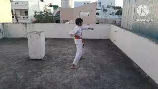 KARATE  KATA  ( PINAN NIDAN ) #karatekata #pinannidan #shitoryu #shitokai