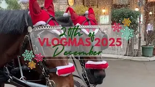 VLOGMAS, День 12 | Последний день в Вене: Рождественская ярмарка, поездка на карусели, трубочный ...