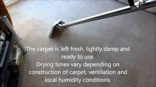 Carpet cleaning process, Airflex Turbo/Storm Envirodri carpet agitation, hot water extraction