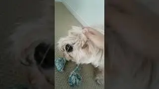She's Tired!