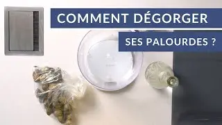 Comment dégorger ses palourdes ?