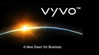 VYVO Business Overview