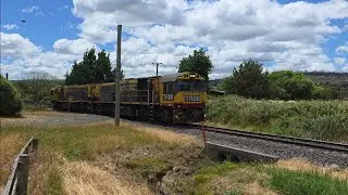 TasRail TR08 TR13 #55 empty train crossing Station/Johnston Road