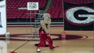 2012 Hairy Dawg Tryouts - WINNER #2