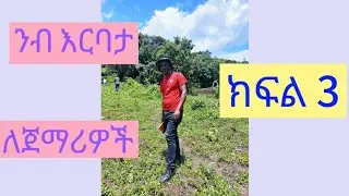 ንብ እርባታ ለጀማሪዎች ክፍል 3                   August 19, 2025
